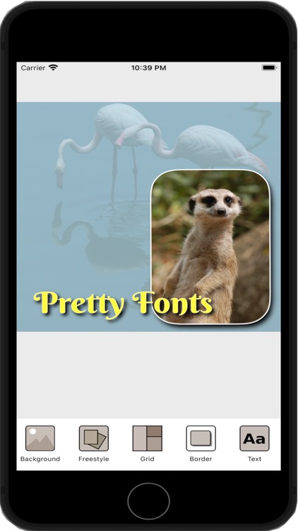 Photo Layout Plus from SG screenshot-3