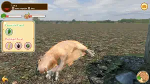 Capybara Spa screenshot 2
