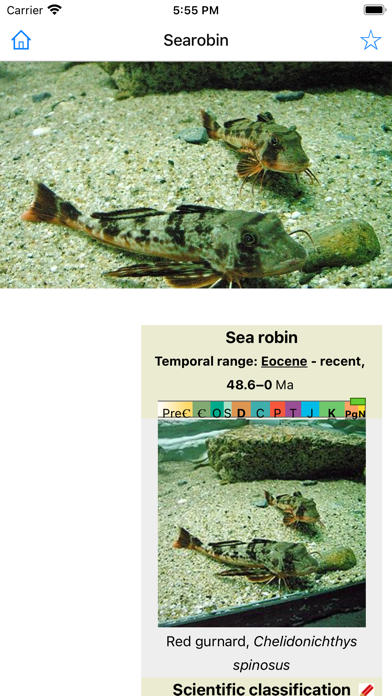 Encyclopedia of Fish Screenshot