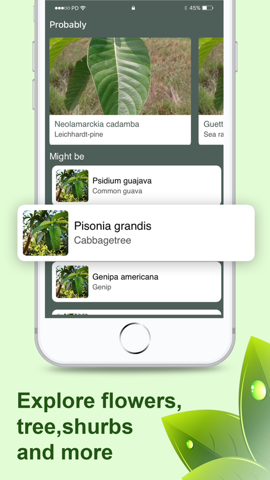 #4. Plant Capture and info (iOS) 由: Jyoti Vaidya