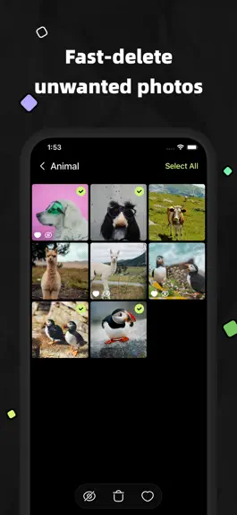 Game screenshot KK Photo hack