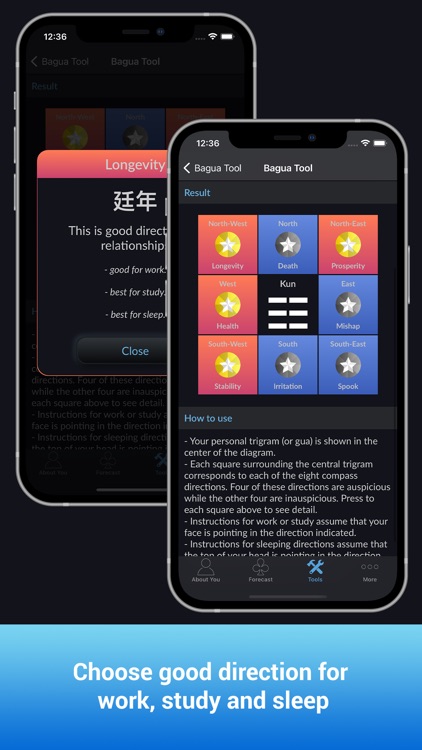 CHoroscopes Chinese Horoscopes screenshot-3