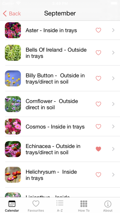 Grow Flowers Screenshot