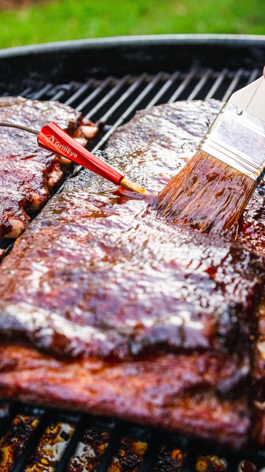 #5. GrillEye Hyperion (iOS) بواسطة: G&C Ltd.