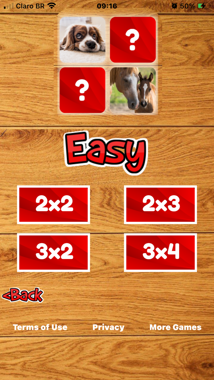 Brain Game - World Animals