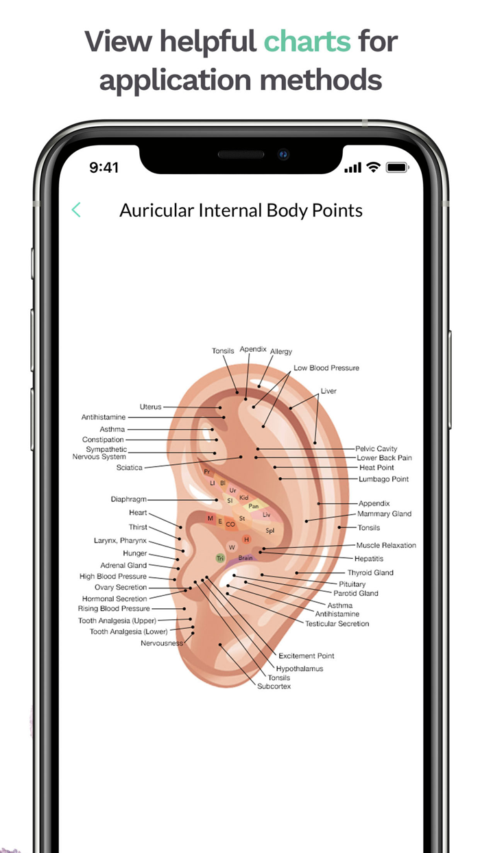 Young Living Essential Oil