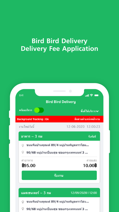 Bird Bird Delivery Rider Screenshot