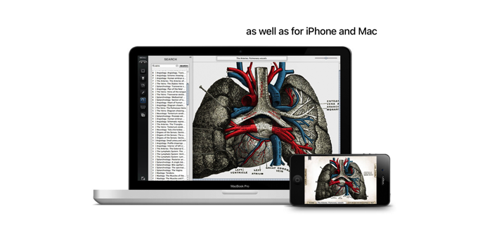 Grays Anatomy Student Edition