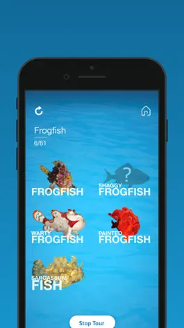 Game screenshot The National Aquarium mod apk