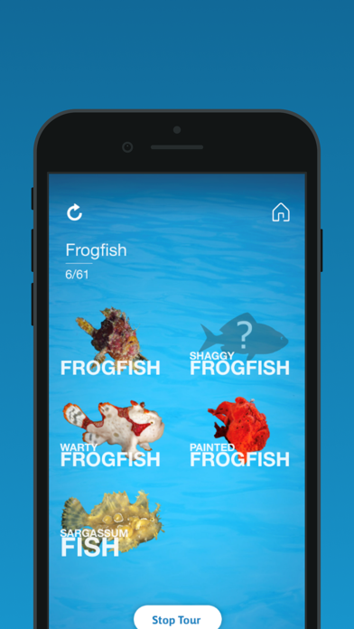 The National Aquarium Screenshot