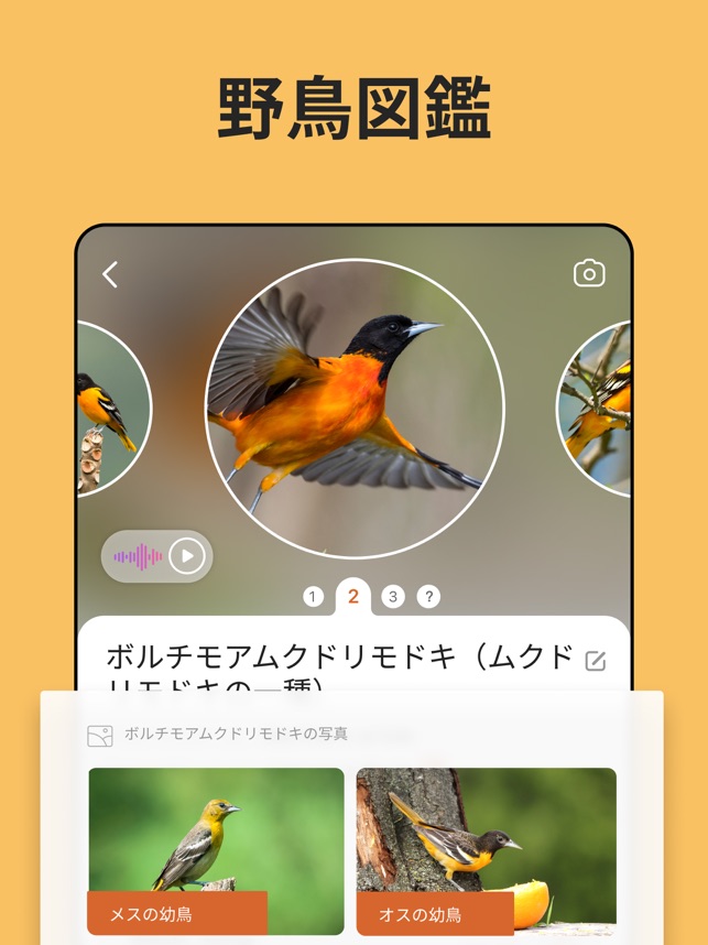 Picture Bird 撮ったら 判る 1秒鳥図鑑 をapp Storeで Picture Bird 撮ったら 判る 1秒鳥図鑑 をapp Storeで