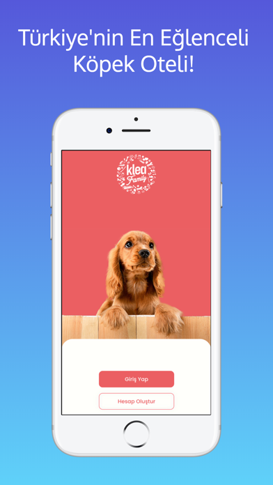 Klea Family - Köpek Oteli Screenshot
