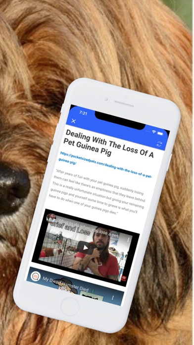 Pet Loss Screenshot