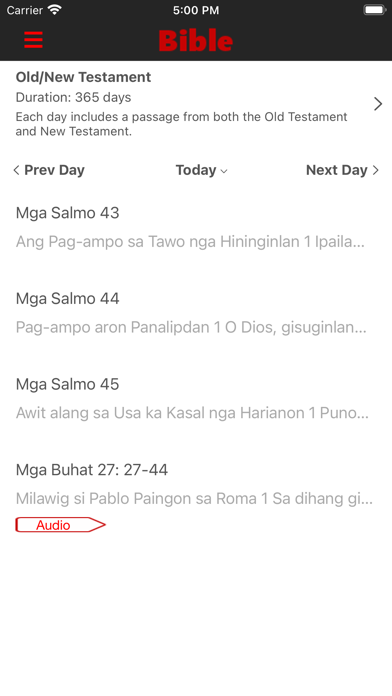 Maayong Balita Biblia (Audio) Screenshot