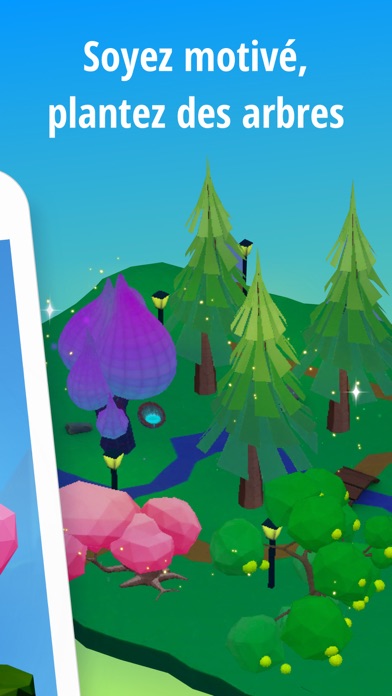 Forest Grow - Concentration Forest Grow - Concentration
