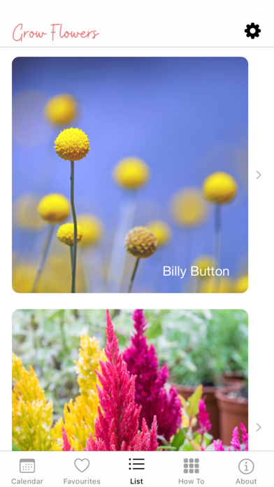 Grow Flowers Screenshot