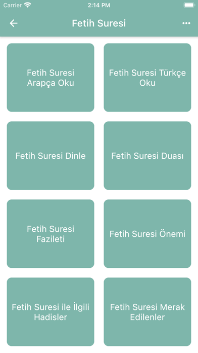 Fetih Suresi (Sesli) Screenshot
