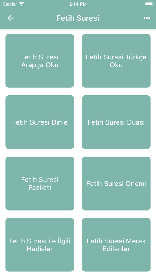 Fetih Suresi (Sesli) - 1.1 - (iOS)