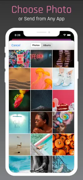Game screenshot PanoraSplit for Instagram apk