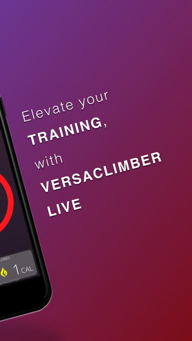 VersaClimber screenshot 2