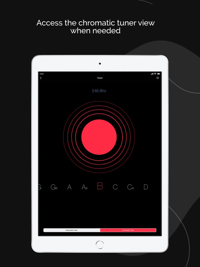 Roadie Tuner - Guitar Tuner