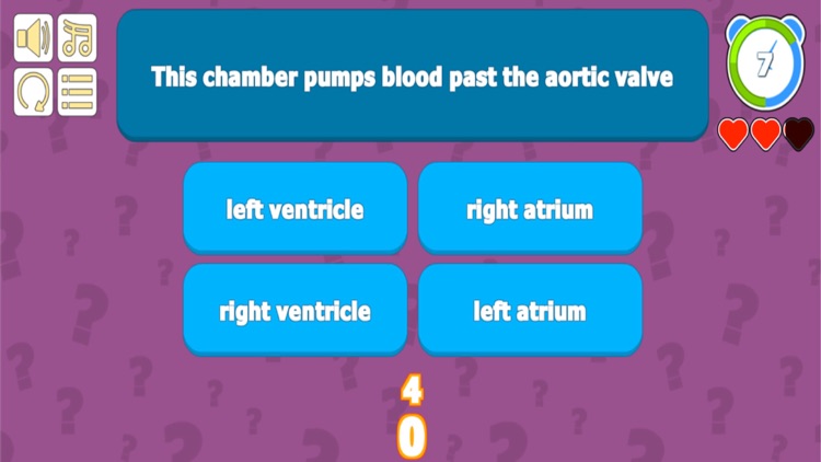 Cardiovascular System QZ