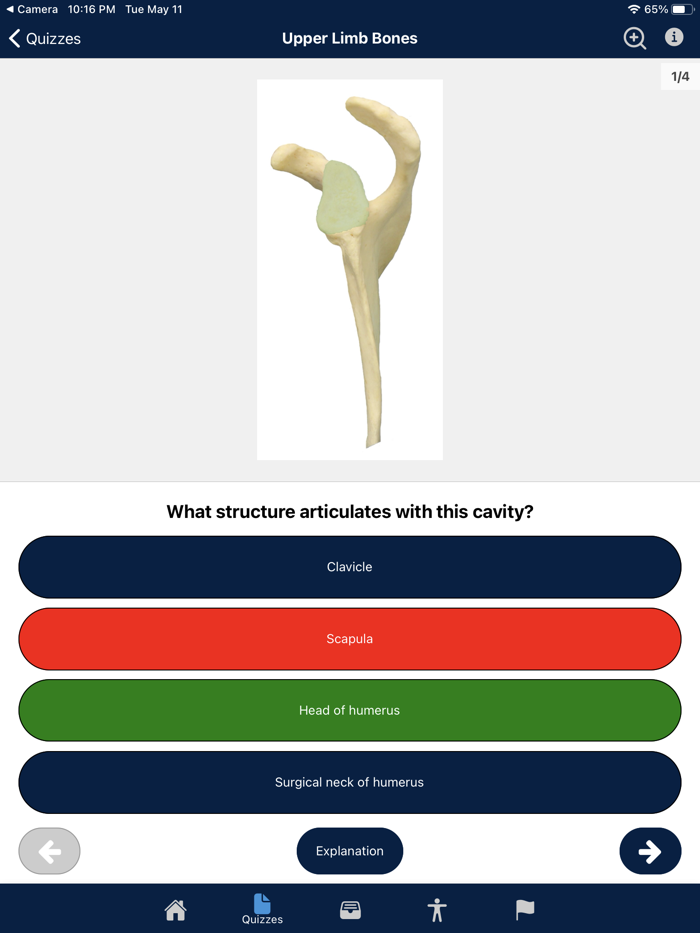 UBC Human Anatomy Teaching App