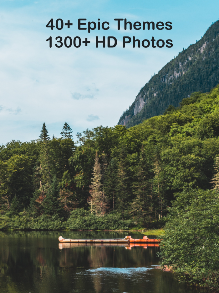 2021 Wallpapers Live and Moving