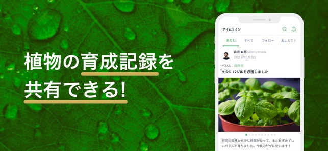 App Store 上的 Forever Green