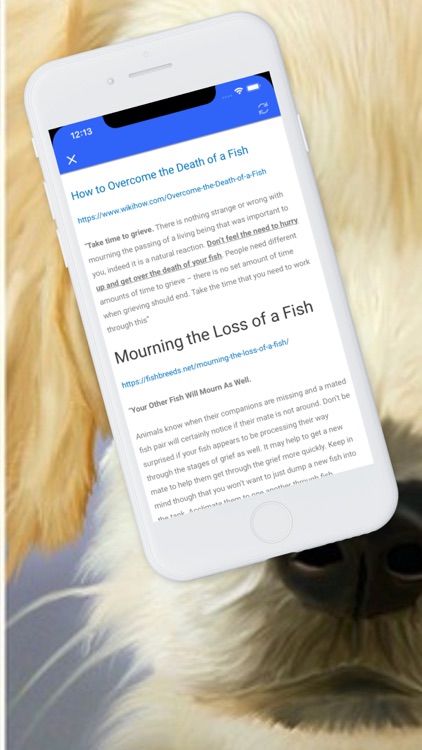 Pet Loss screenshot-4