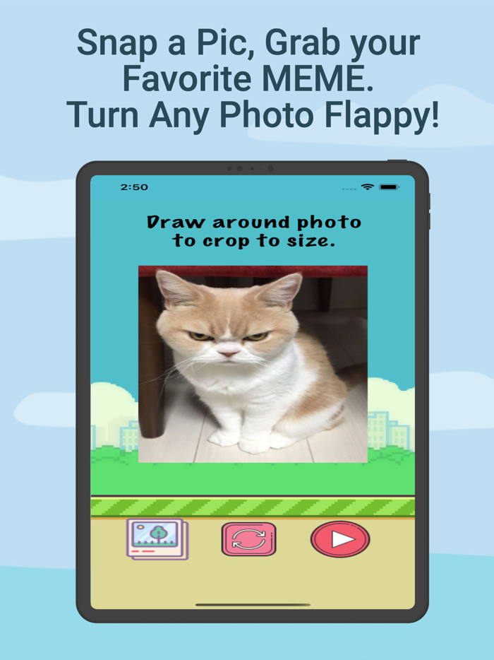 Flappy Me - Custom Adventure