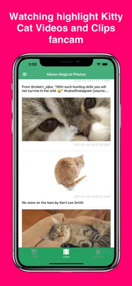 Game screenshot Kitty Cat Wallpapers 4K HD hack
