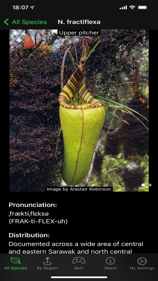 #6. Nepy (iOS) 由: Davide Baj