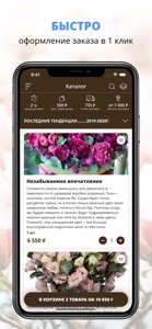 ЦВЕТОЧКИ | Владимир screenshot #1 for iPhone