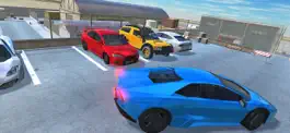 Game screenshot Real Car Parking 3D hack