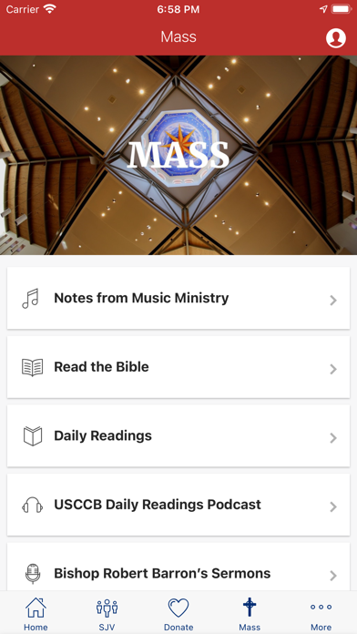 St. John Vianney Houston Screenshot