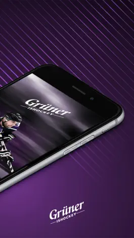 Game screenshot Grüner Ishockey apk