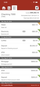 Leader Bank Business Banking screenshot #5 for iPhone