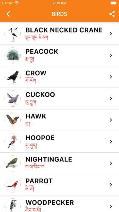 Tibetan Kid App Screenshot