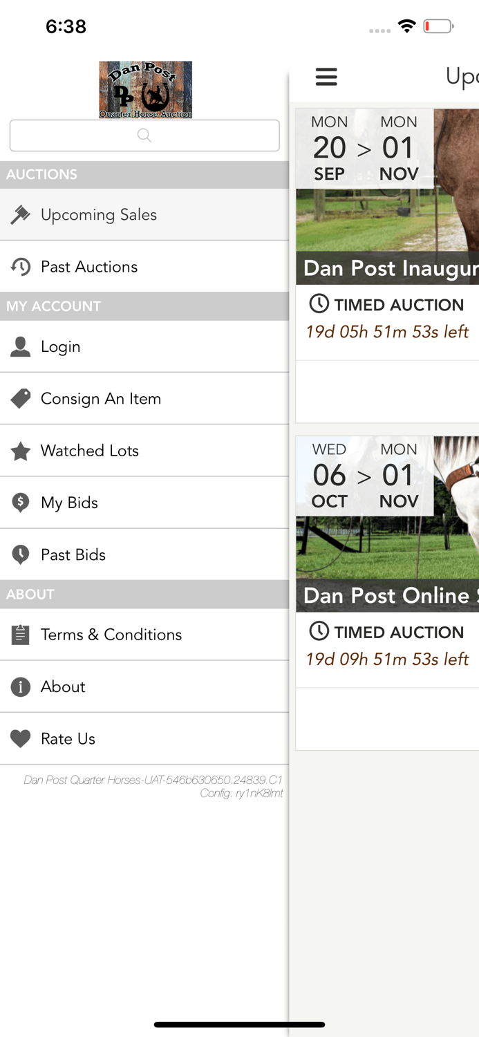 Dan Post Quarter Horse Auction