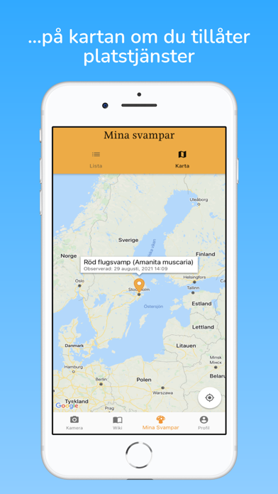 fungai - svampguide med AI Screenshot