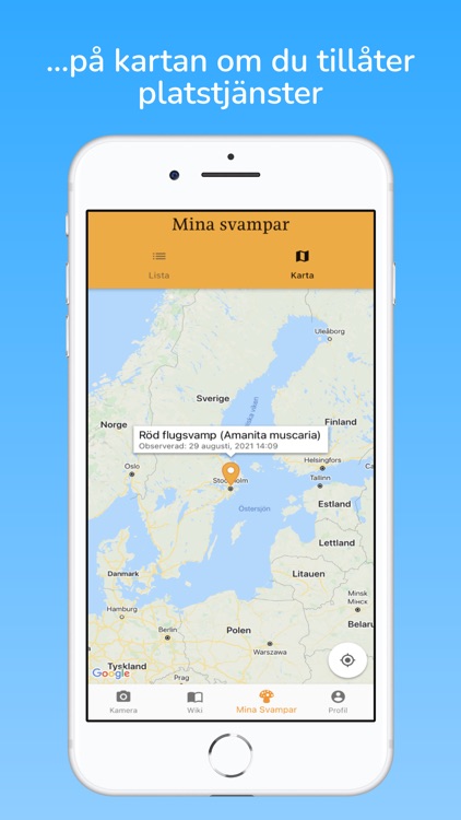 fungai - svampguide med AI screenshot-4
