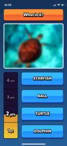 Blurry Quiz screenshot #3 for iPhone