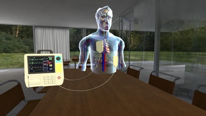 Antiarrhythmics for Afib Screenshot