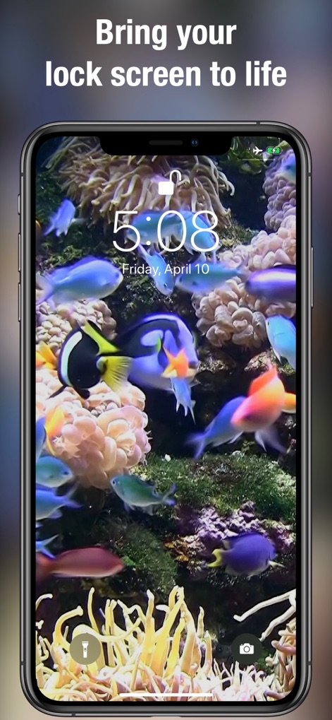 Dynamic wallpapers & themes - The app offers a vibrant collection of aquatic scenes, showcasing colorful fish swimming within a dynamic coral reef environment directly on the Lock Screen.