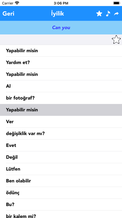 Turkish to English Translator Screenshot