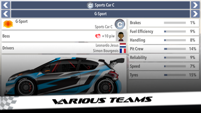 Motorsport Superstar Screenshot