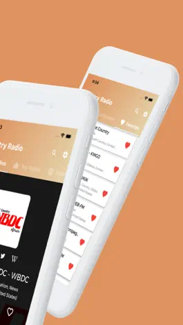 Game screenshot Country Radio / Country Music apk