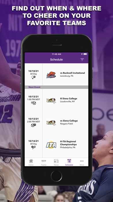 Niagara Purple Eagles Screenshot
