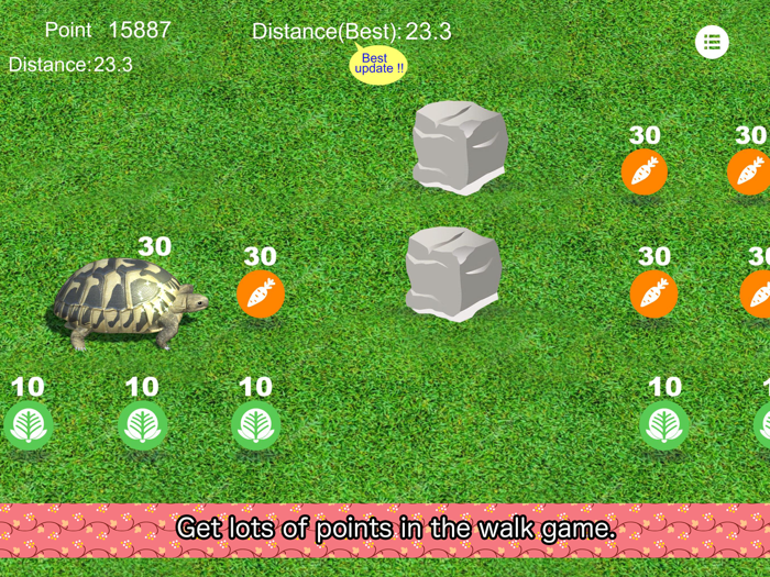 Tortoise to grow relaxedly